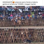 Cecilia Patrón inicia 2025 acompañando a las cuadrillas de limpieza del Centro Histórico de Mérida
