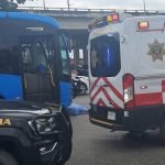 Controlan plaga de langosta en 135 hectáreas de 11 municipios de Yucatán