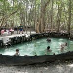 Mar Mediterráneo y Yucatán unidos por la gastronomía