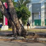 Ayuntamiento de Mérida se une al Primer Simulacro Nacional de Protección Civil 2025