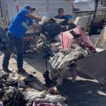 Cuida Cecilia Patrón de las meridanas con botón de alerta en el Portal de Granos
