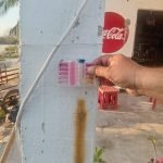 Lidera Yucatán transformación territorial del sureste